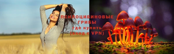 PSILOCYBIN Верхнеуральск