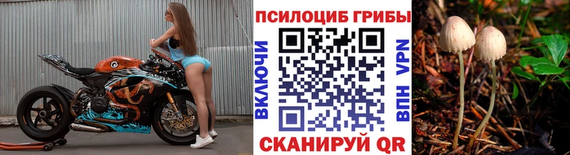 купить  цена  Гусев  Псилоцибиновые грибы MAGIC MUSHROOMS 
